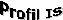 ProfilIS_logo.gif (3200 Byte)