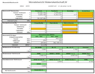 Monthly Report